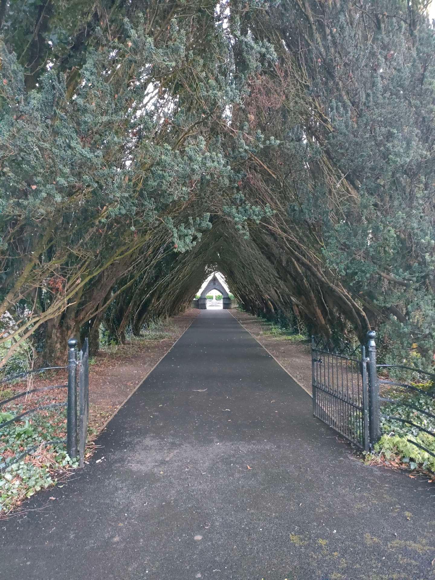 Photo from a stop of this diary