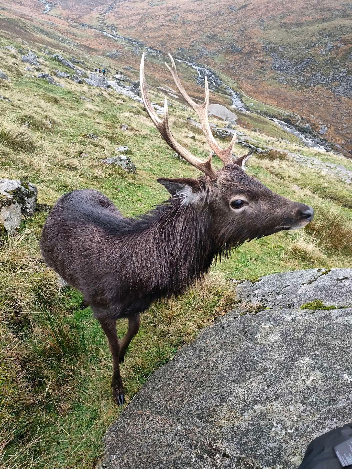 Photo from a stop of this diary