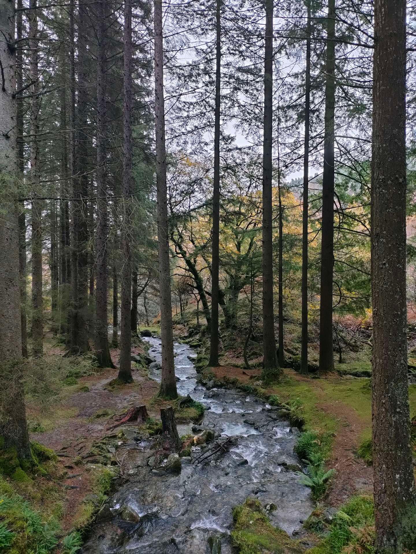 Photo from a stop of this diary