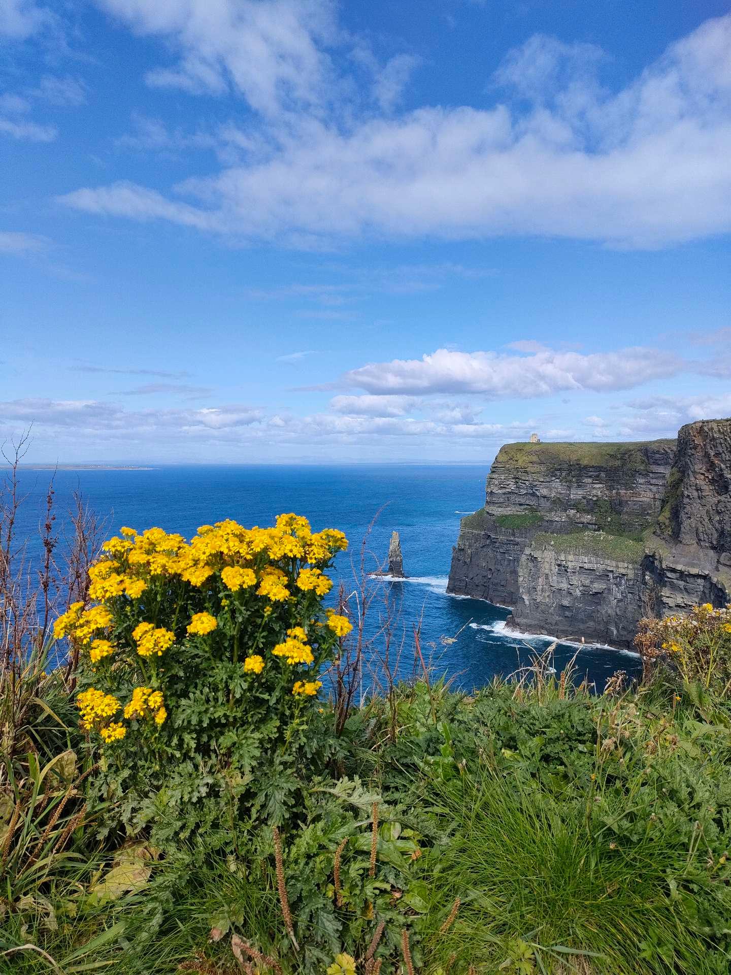 Photo from a stop of this diary