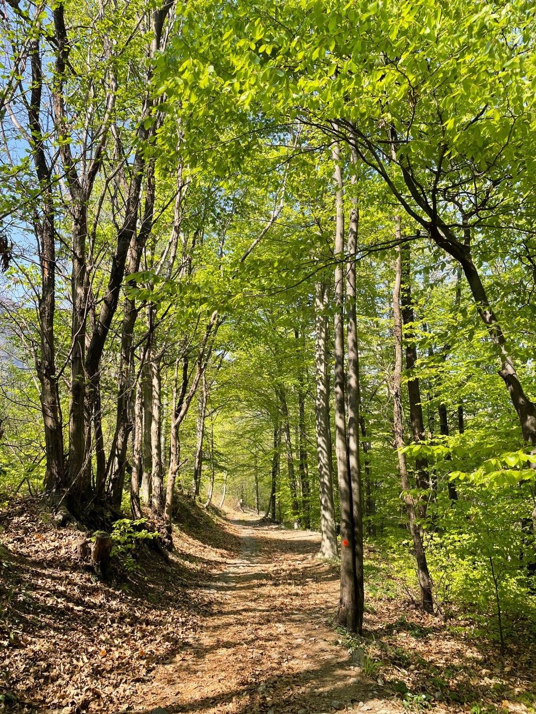 Photo from a stop of this diary