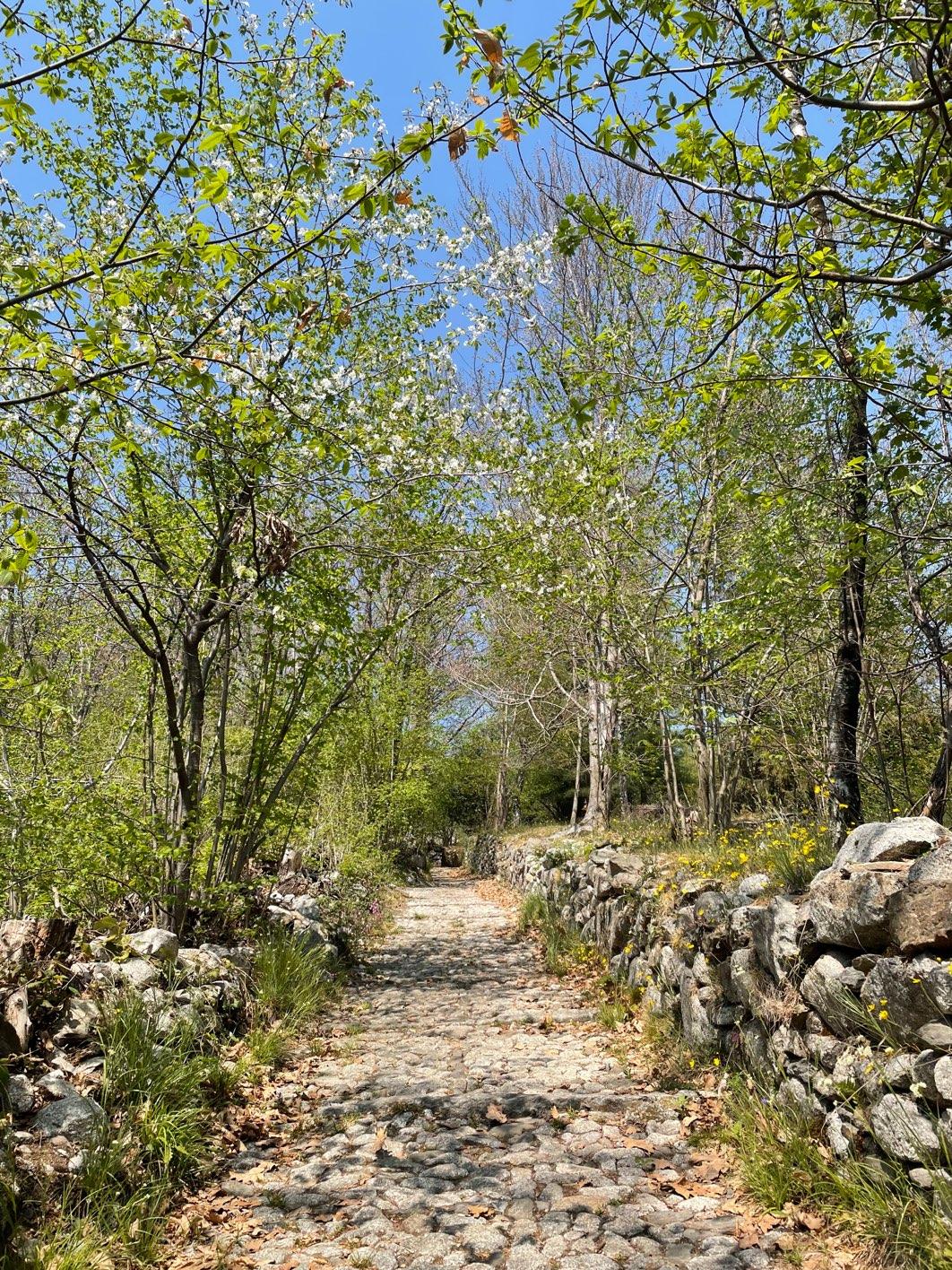 Photo from a stop of this diary