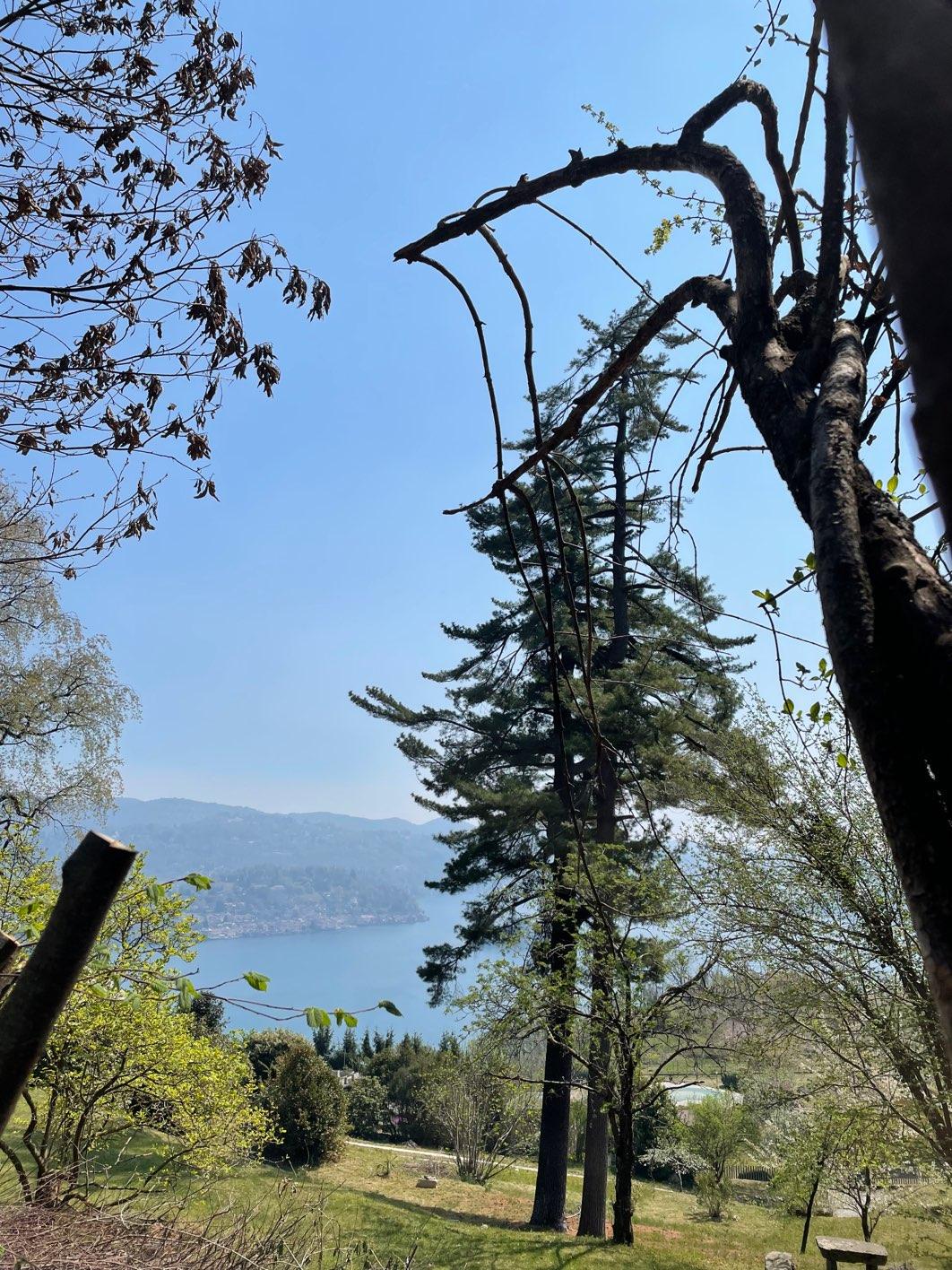 Photo from a stop of this diary