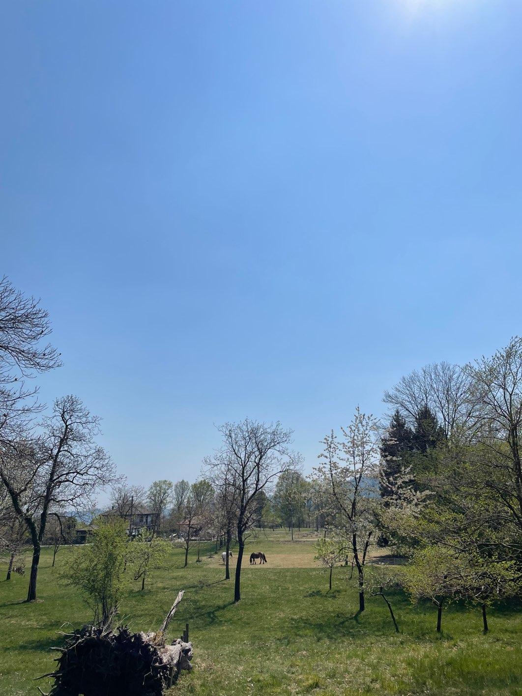 Photo from a stop of this diary