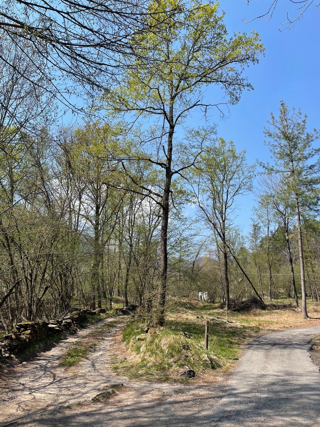 Photo from a stop of this diary