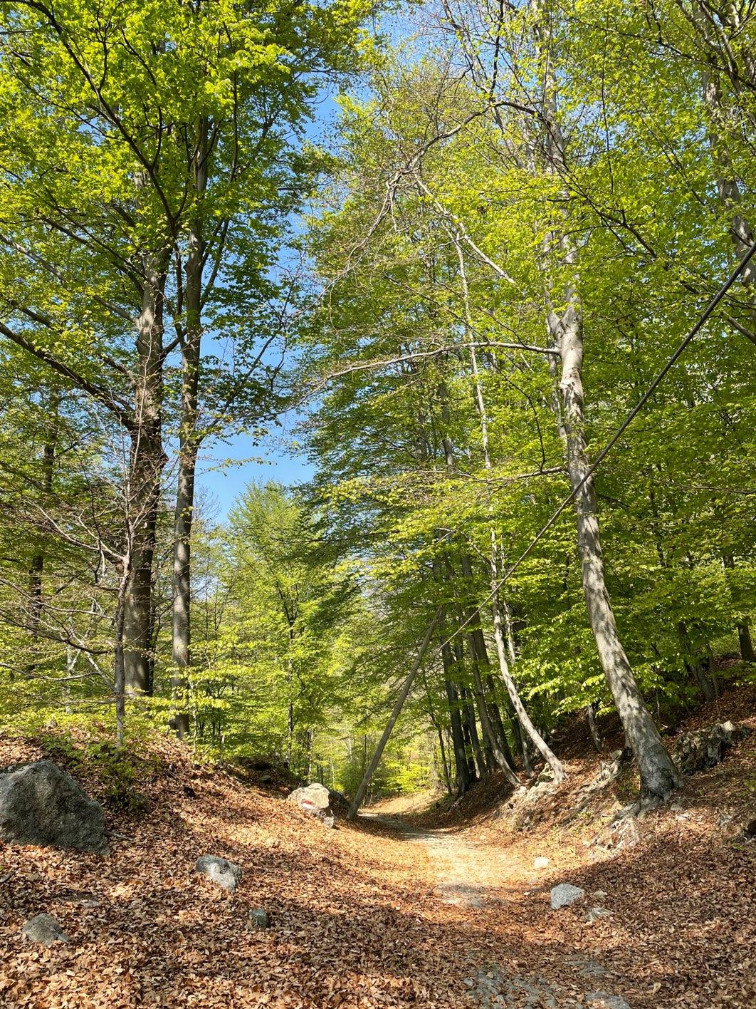 Photo from a stop of this diary