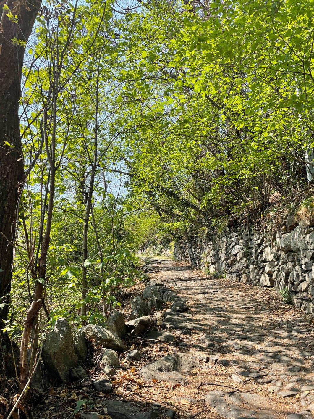 Photo from a stop of this diary