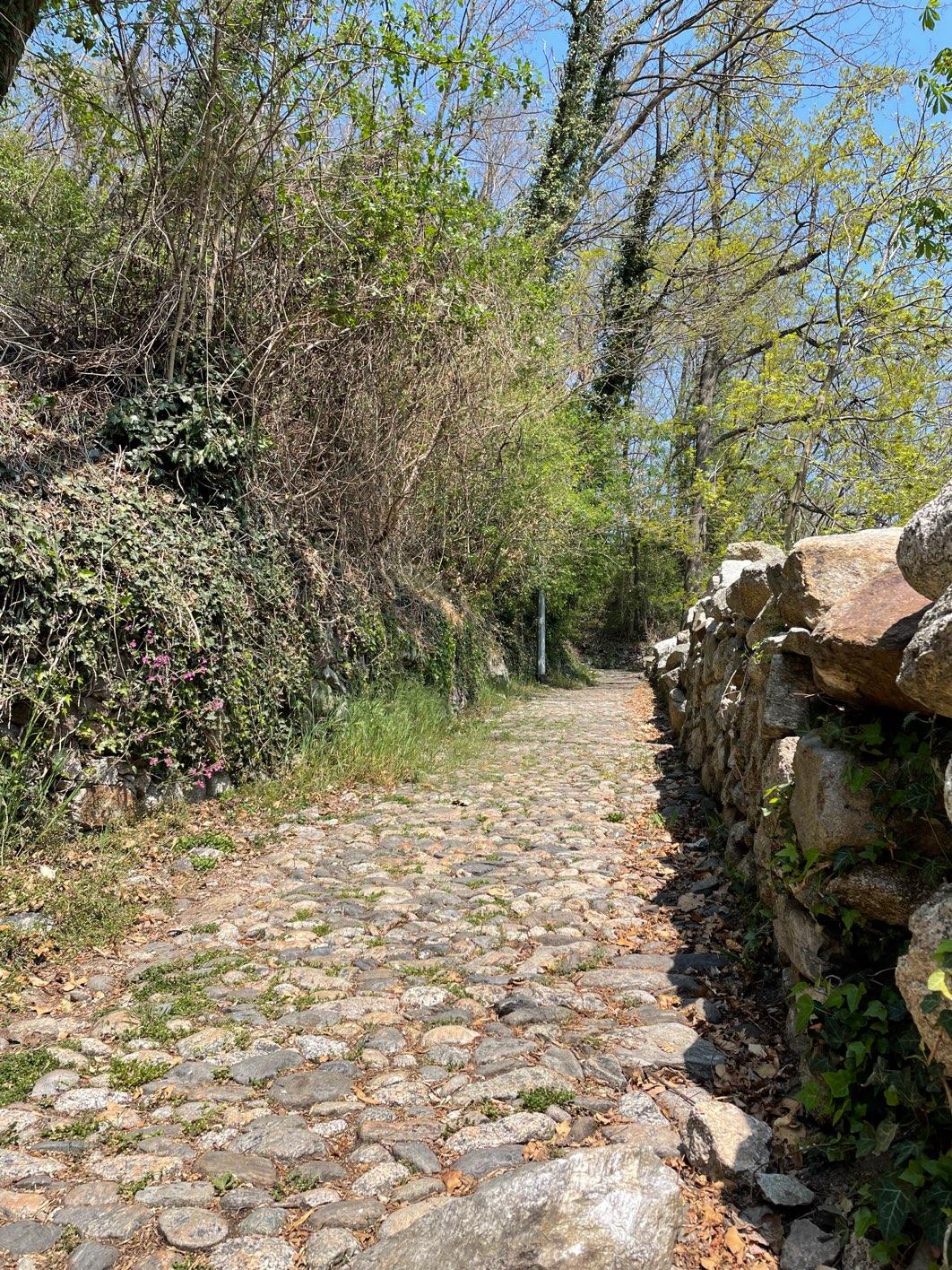 Photo from a stop of this diary