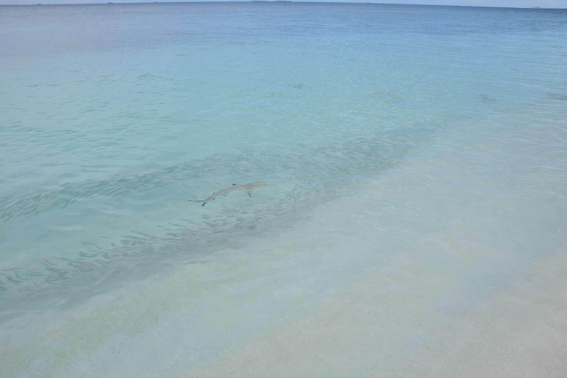 Photo from a stop of this diary