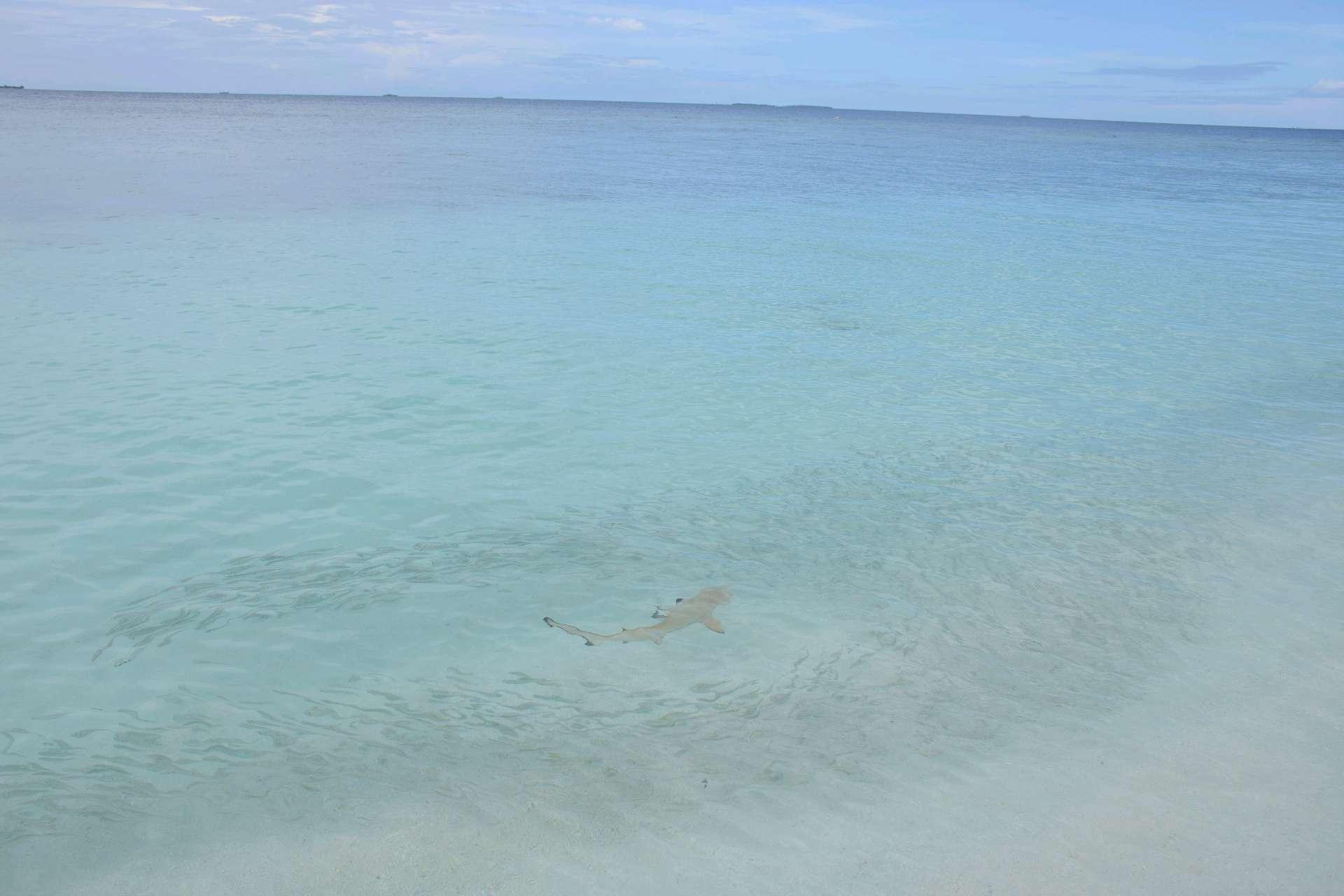 Photo from a stop of this diary