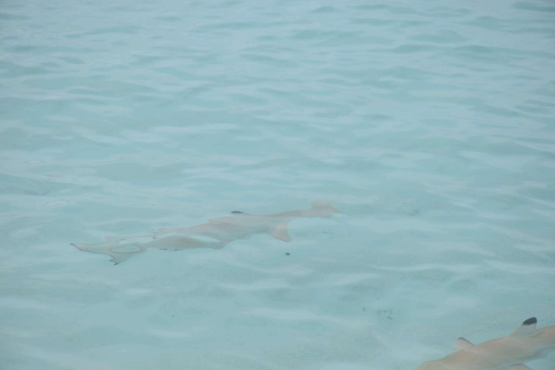 Photo from a stop of this diary