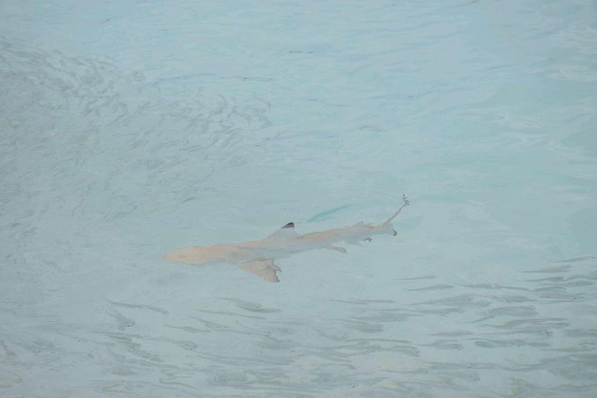 Photo from a stop of this diary