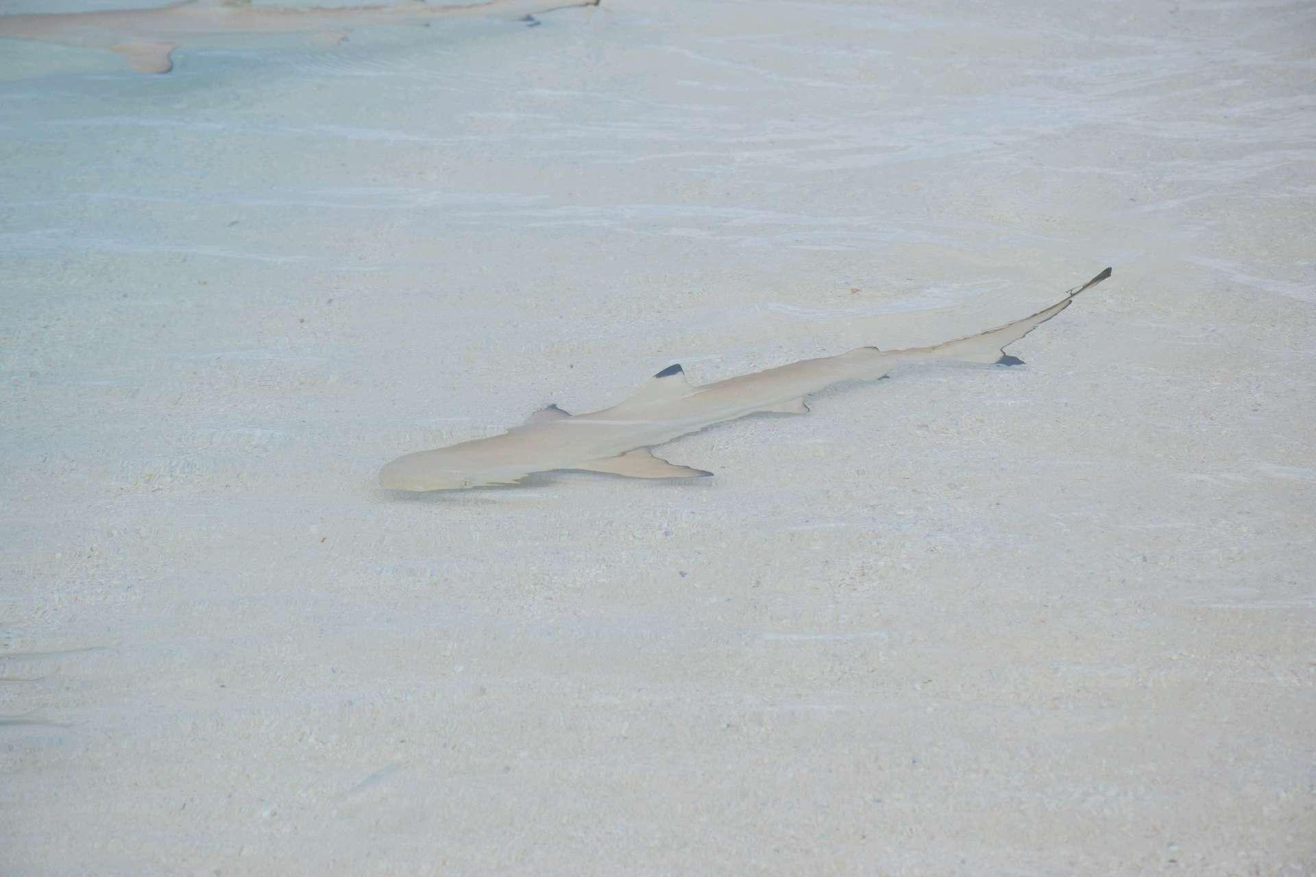 Photo from a stop of this diary