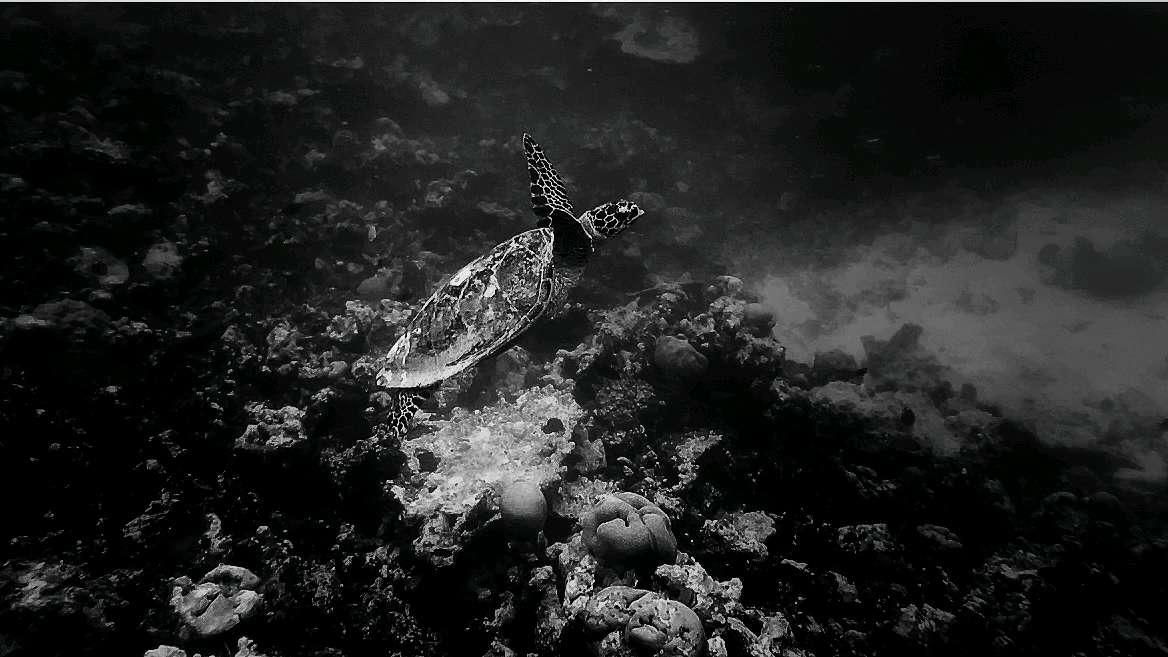 Photo from a stop of this diary