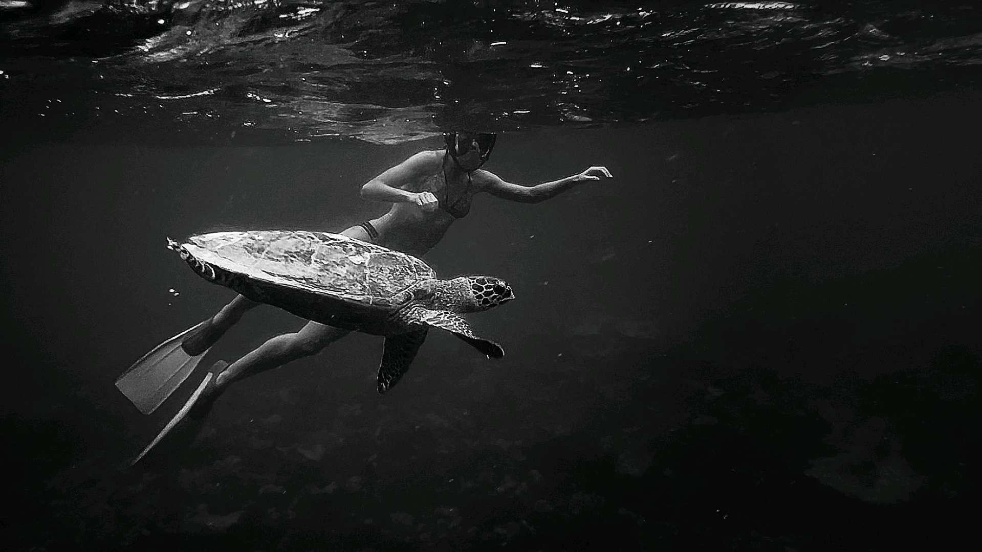 Photo from a stop of this diary