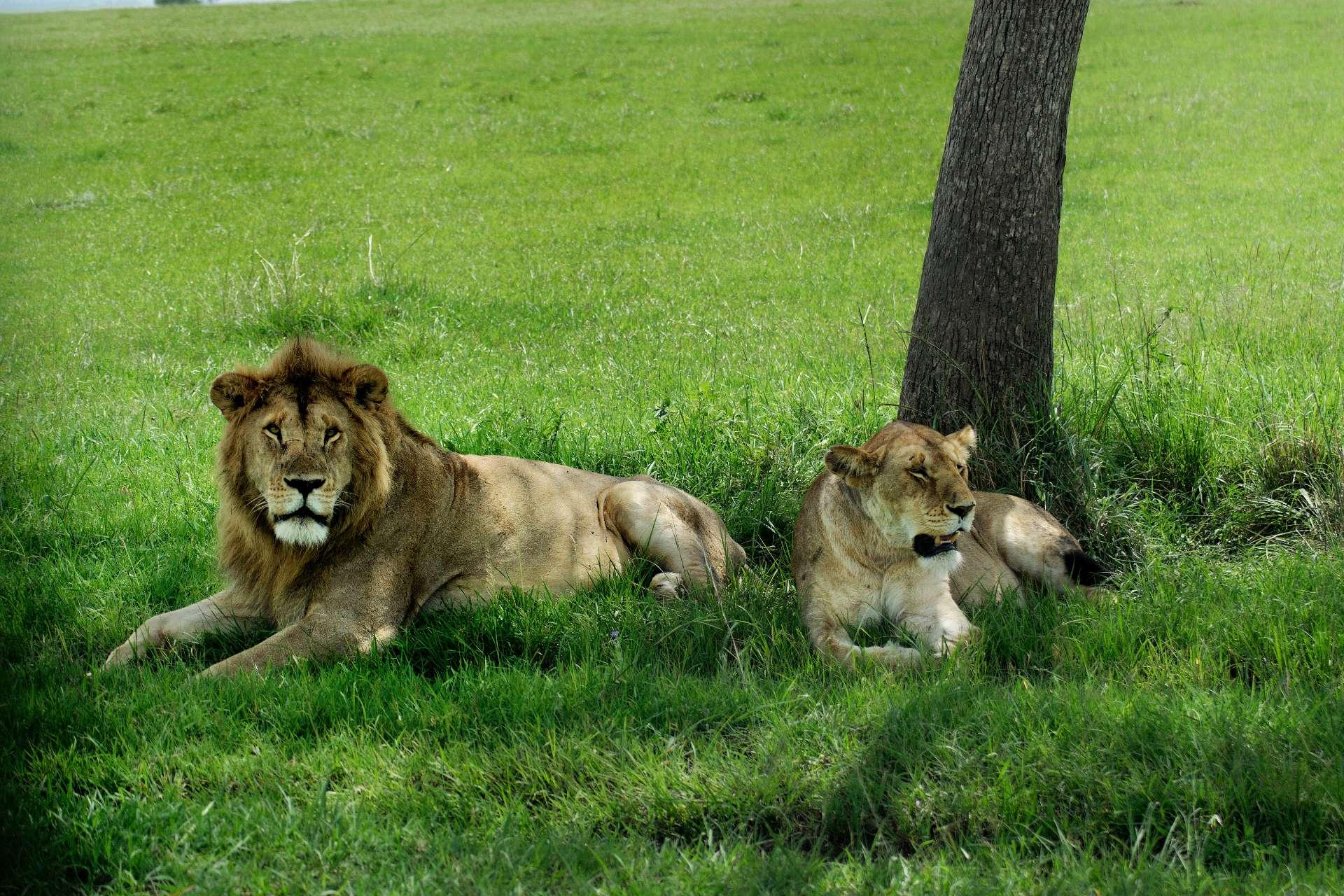 Photo from a stop of this diary