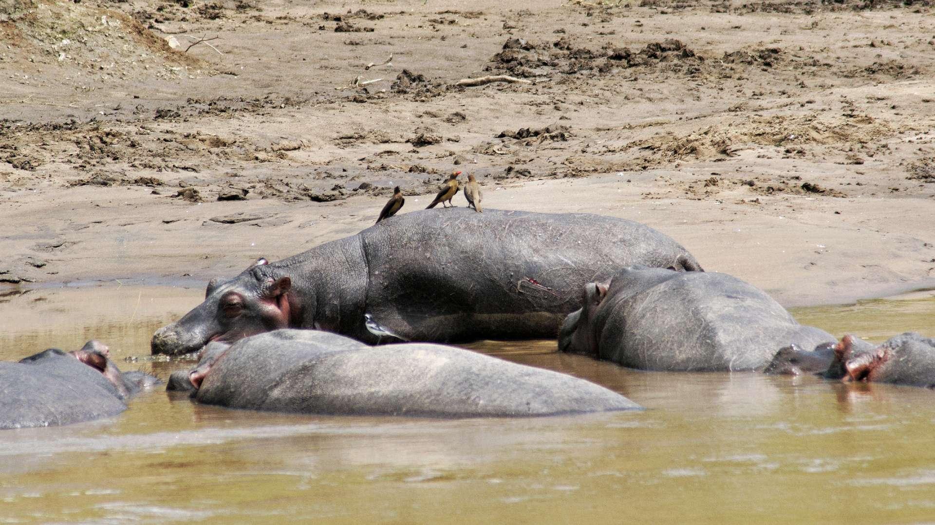 Photo from a stop of this diary