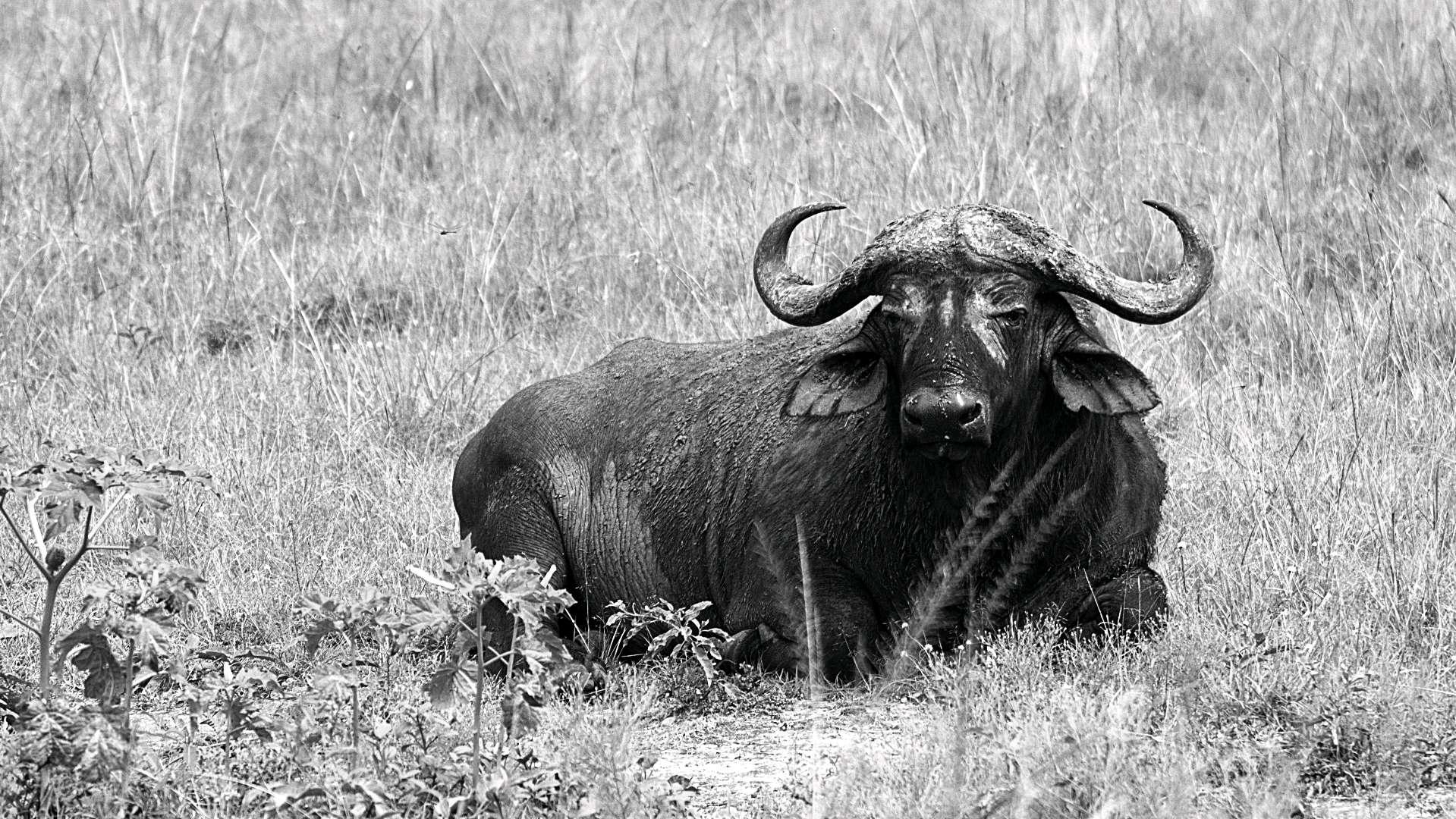 Photo from a stop of this diary