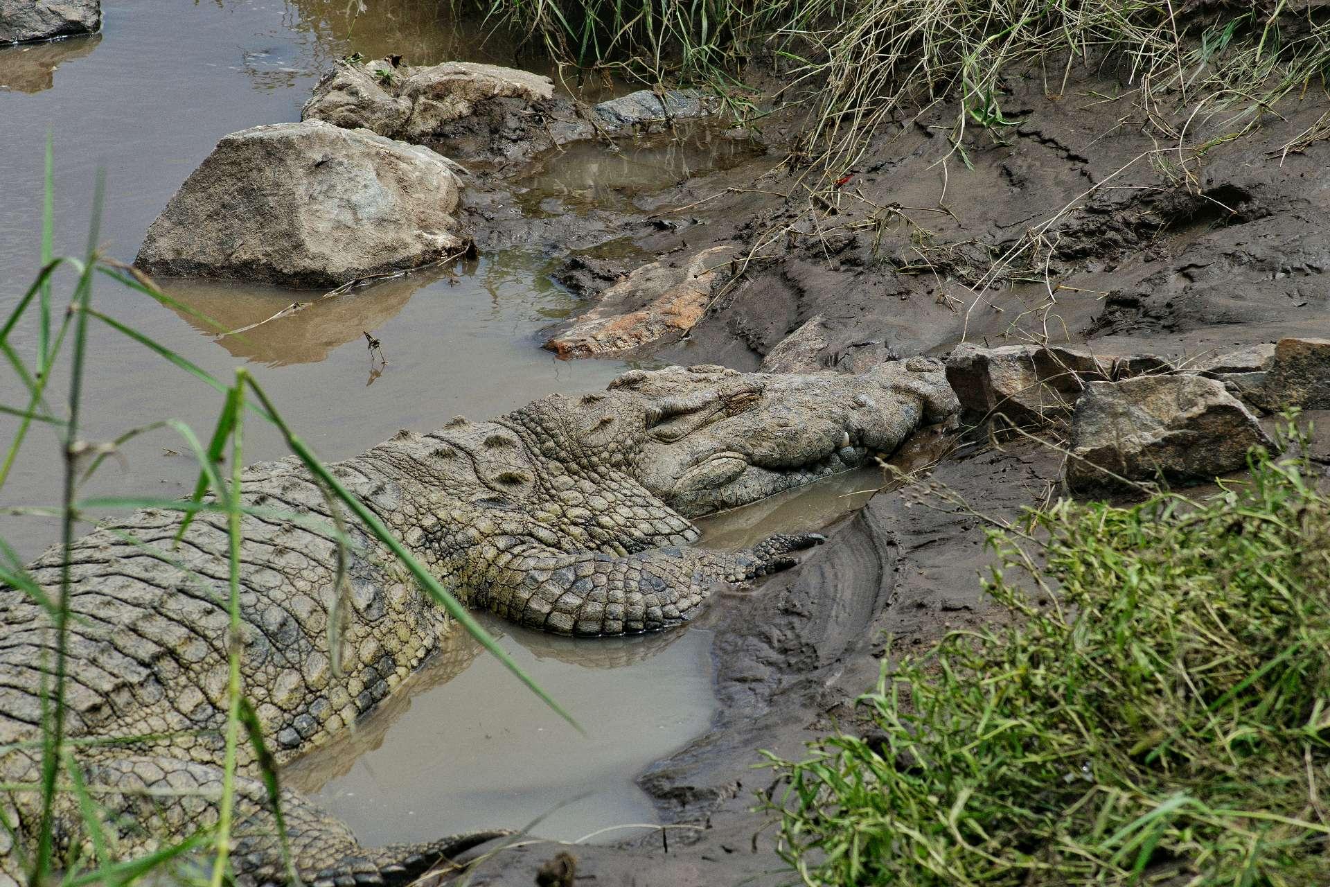 Photo from a stop of this diary