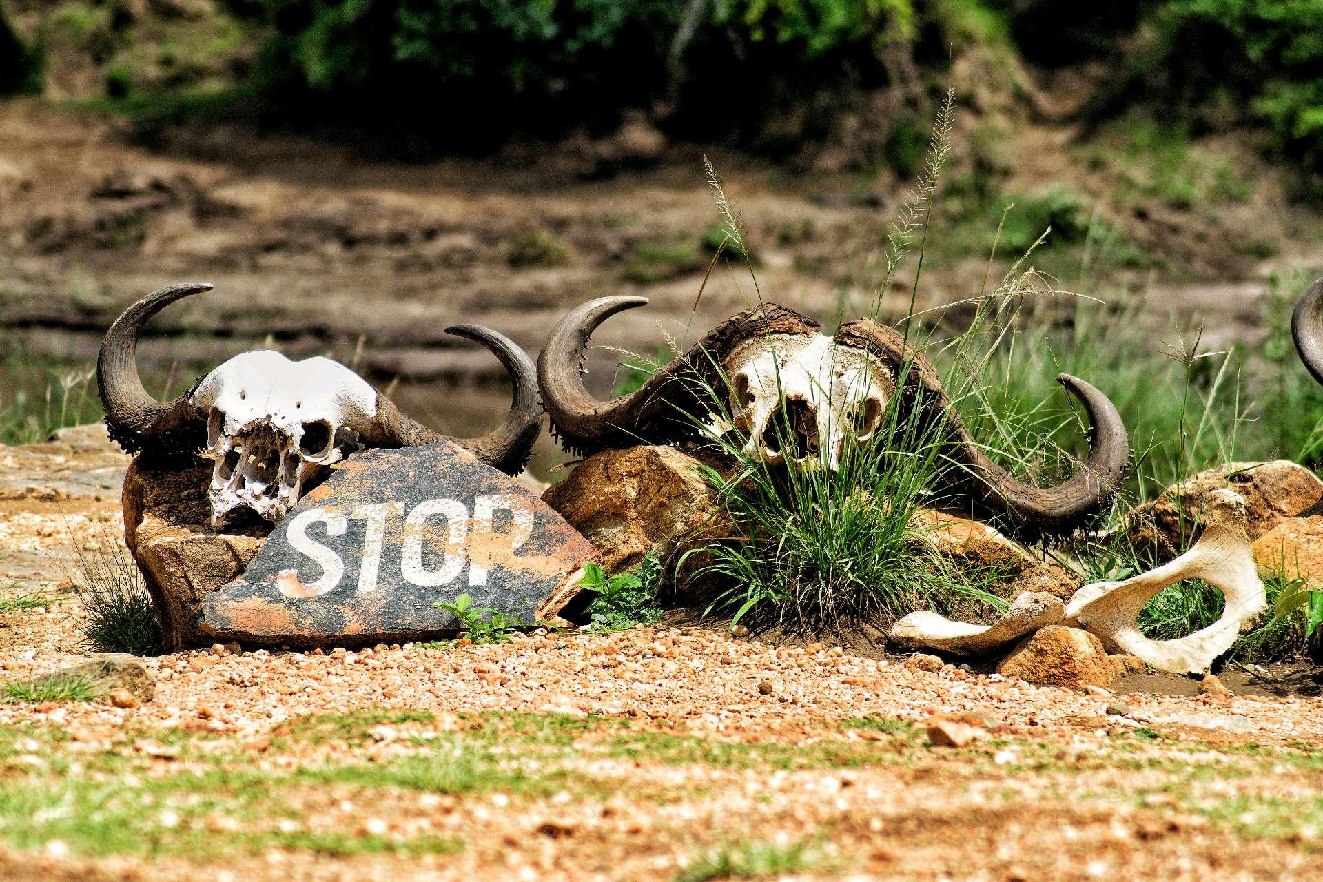 Photo from a stop of this diary