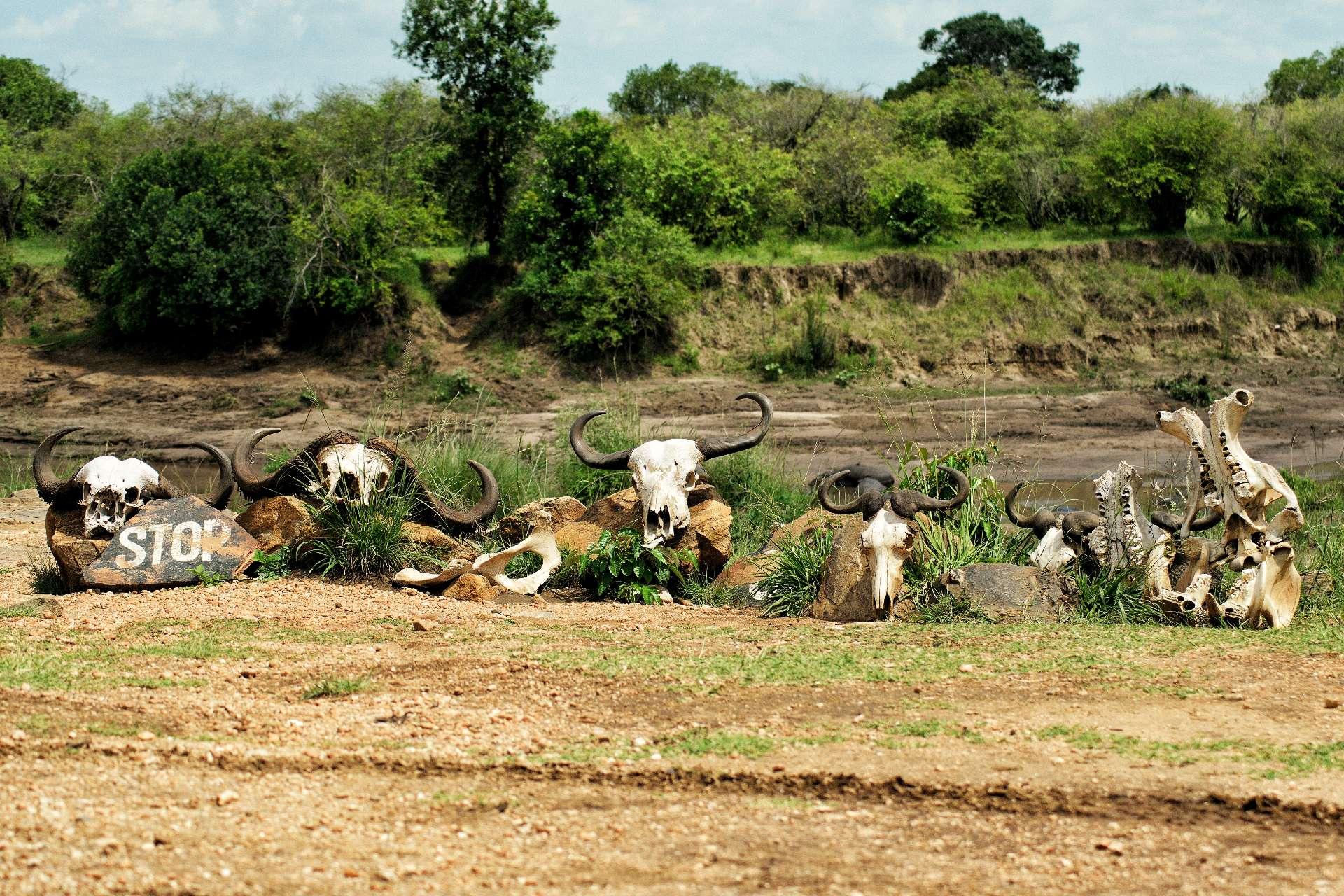 Photo from a stop of this diary