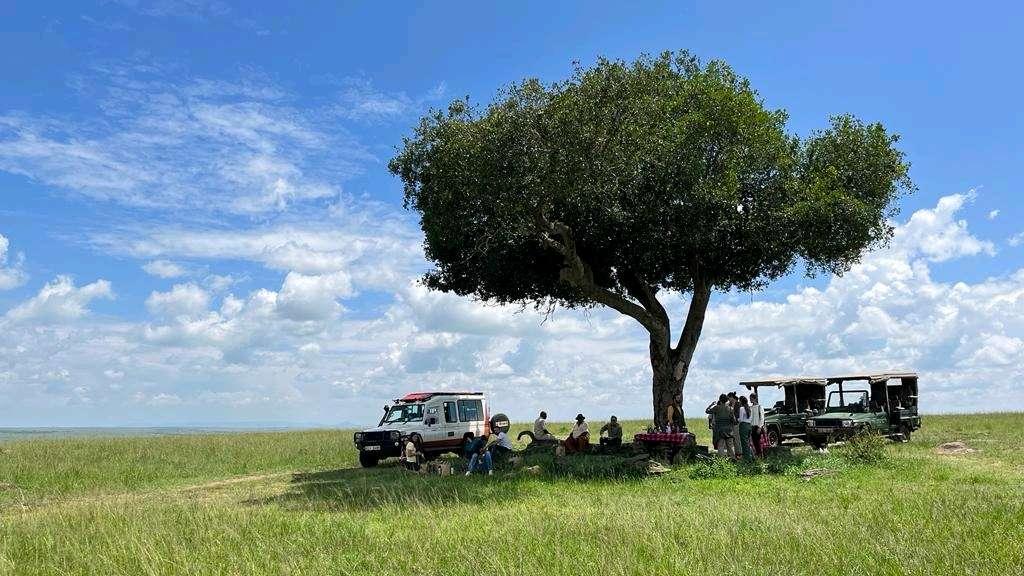 Photo from a stop of this diary