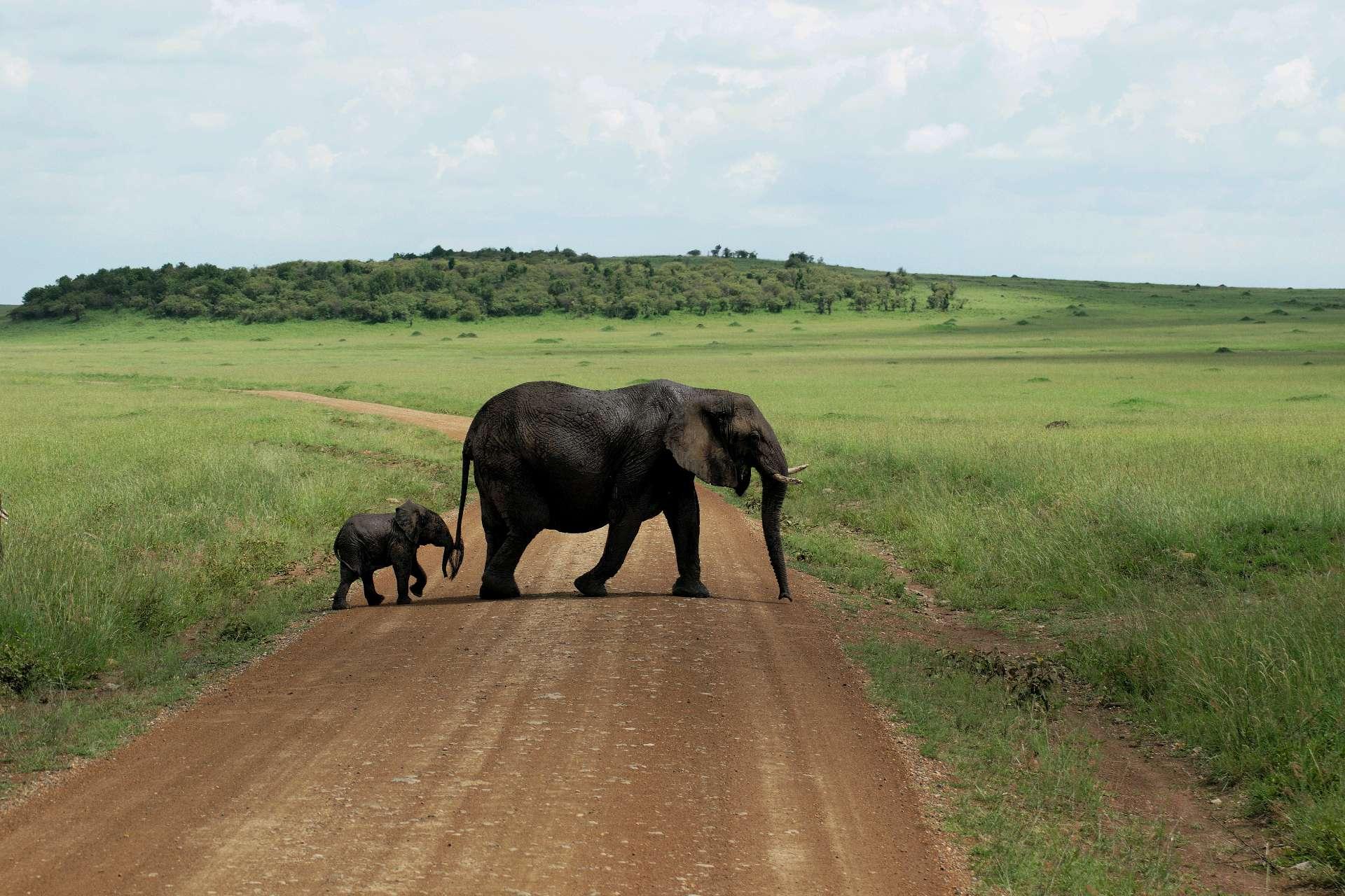 Photo from a stop of this diary