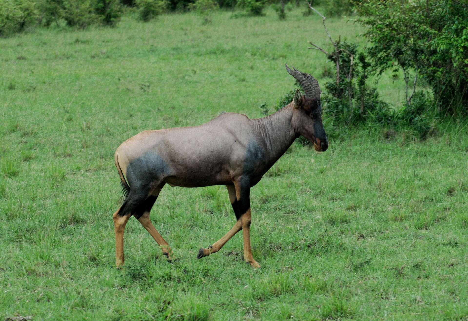 Photo from a stop of this diary