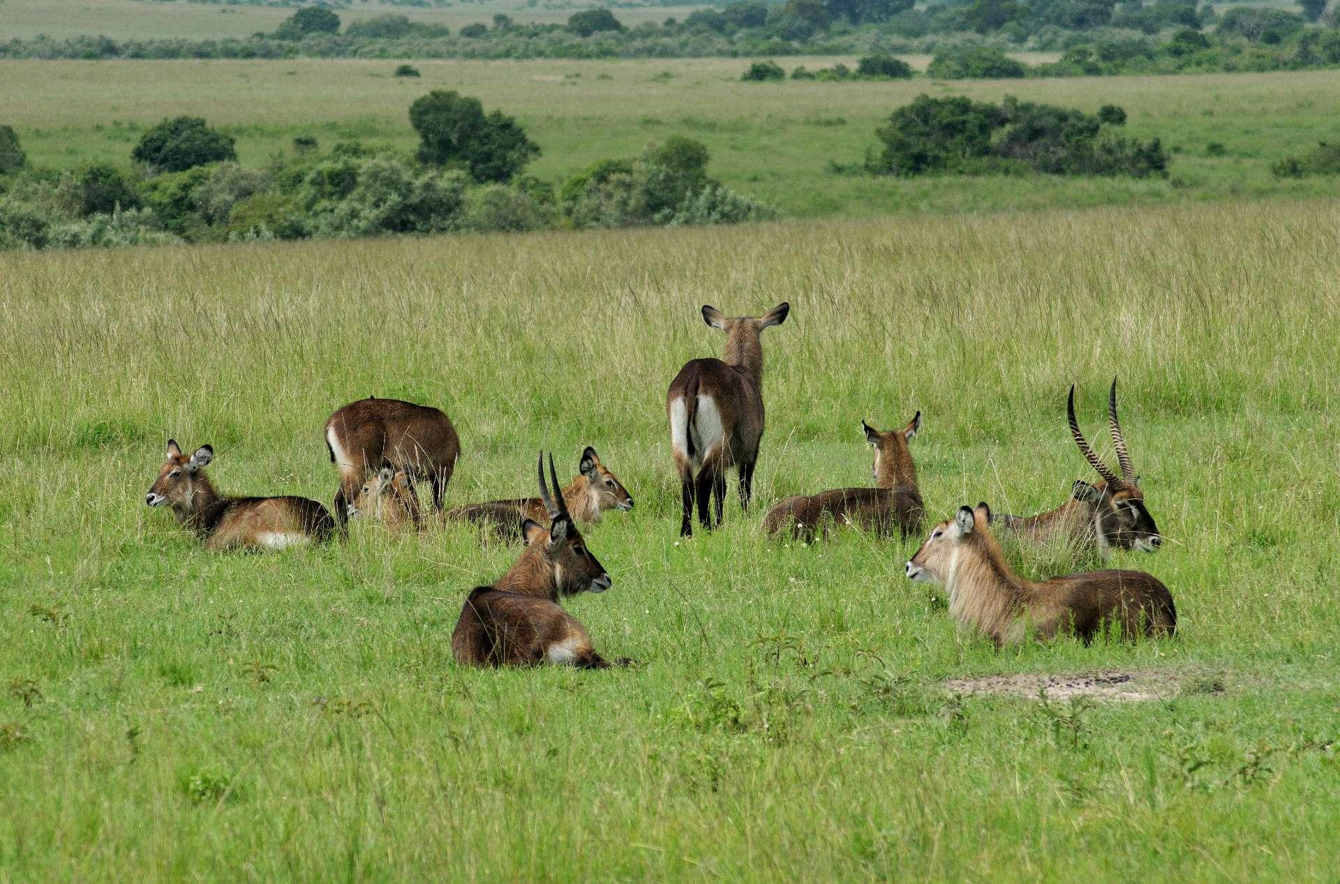 Photo from a stop of this diary