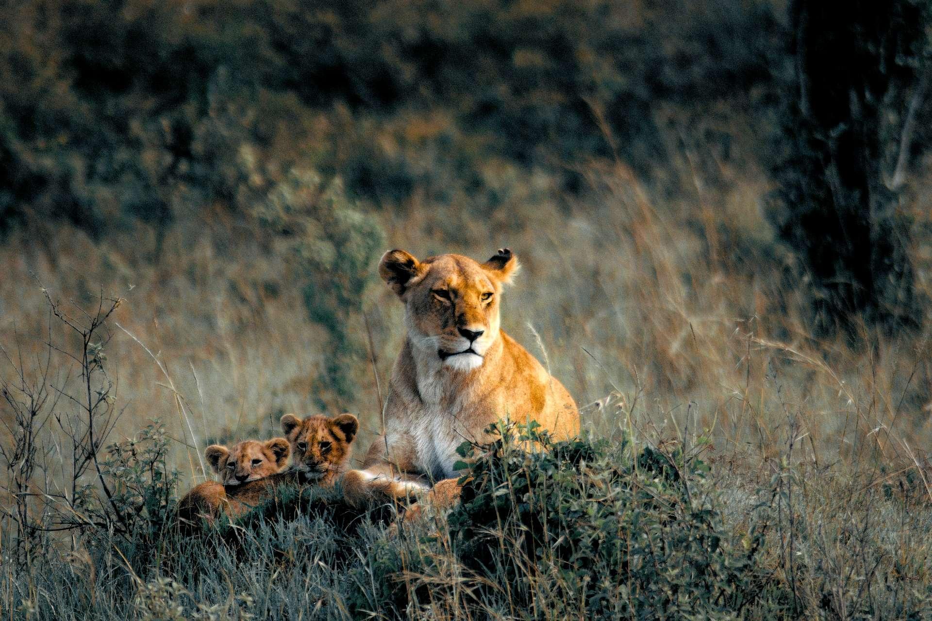 Photo from a stop of this diary