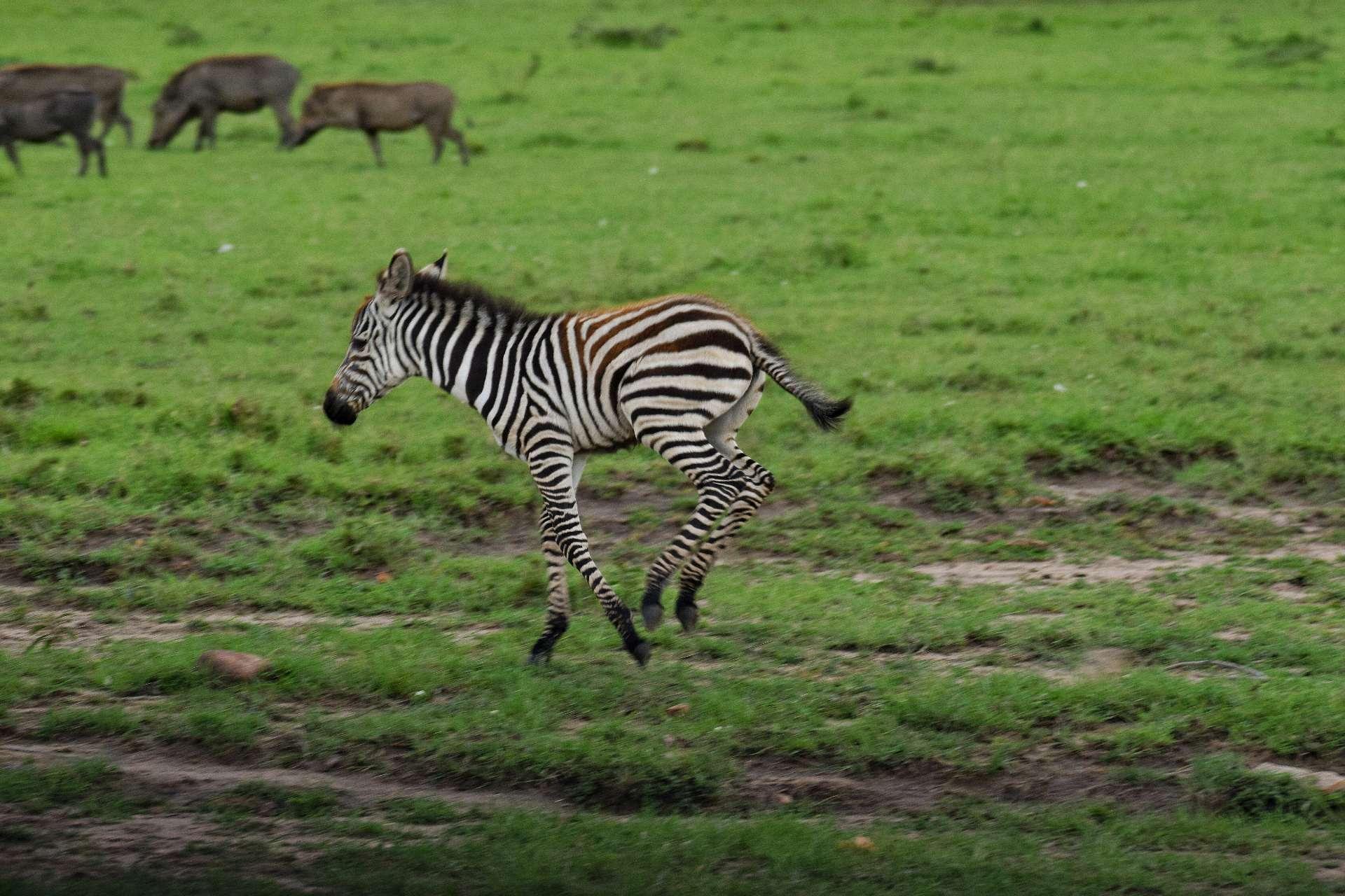 Photo from a stop of this diary