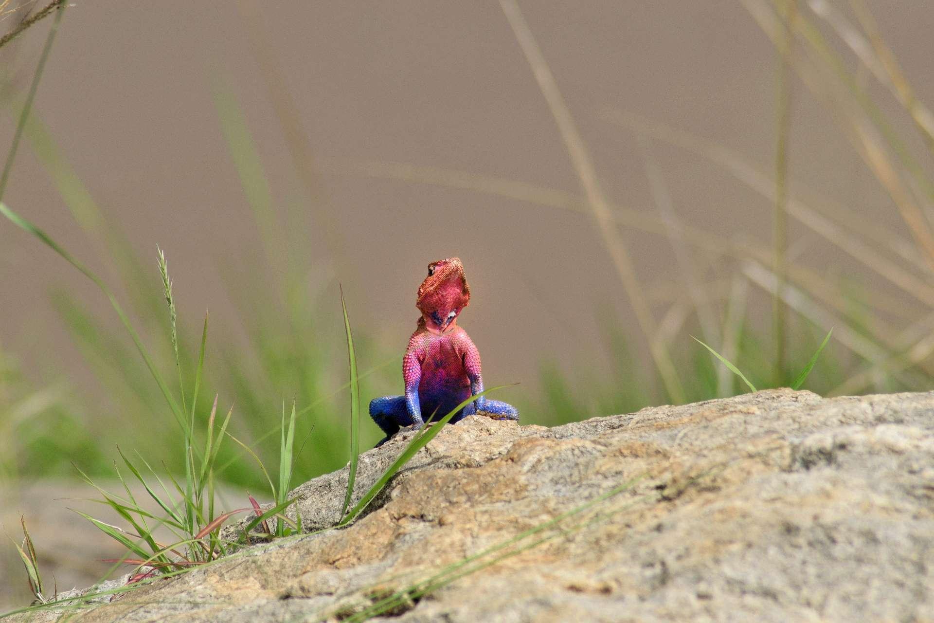 Photo from a stop of this diary