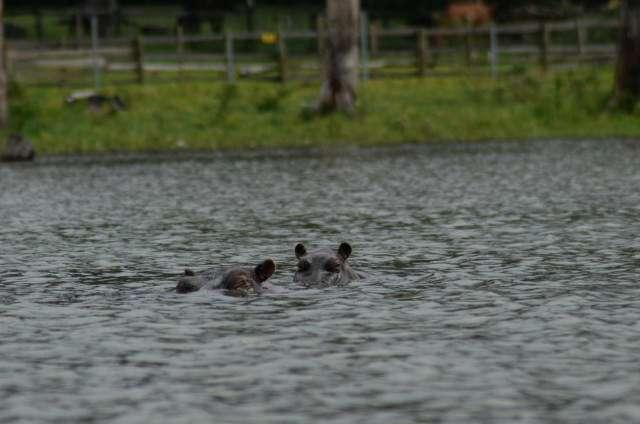 Photo from a stop of this diary