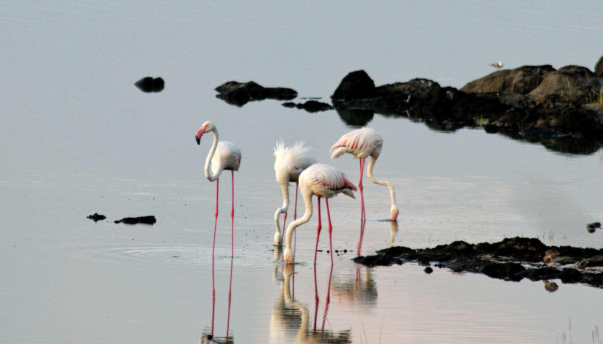 Photo from a stop of this diary