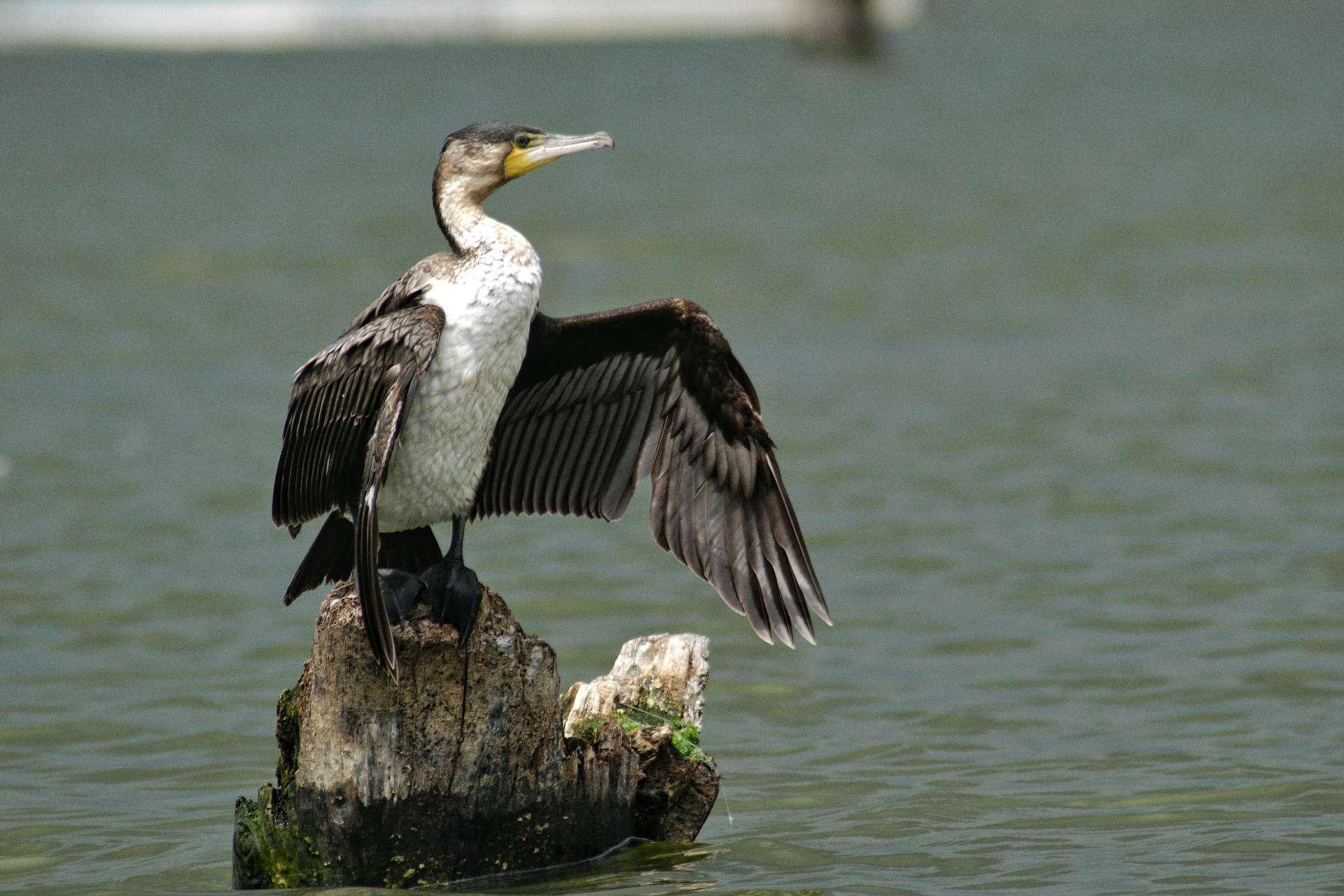 Photo from a stop of this diary