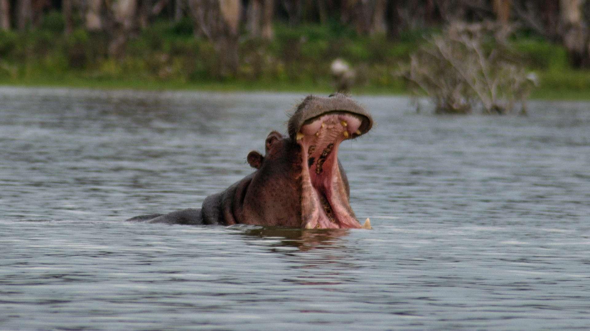 Photo from a stop of this diary