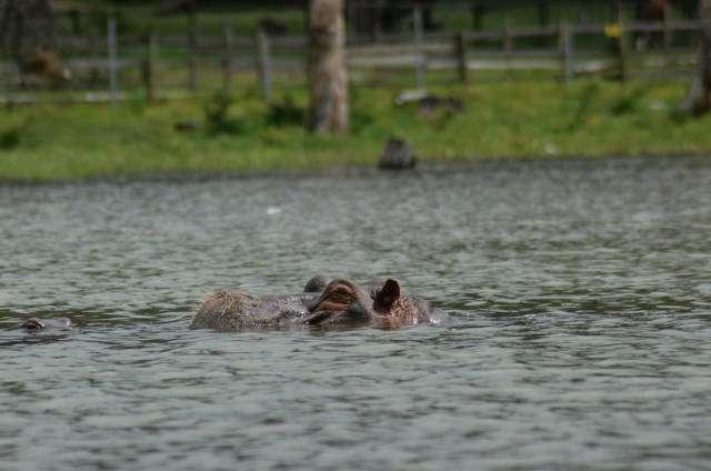 Photo from a stop of this diary