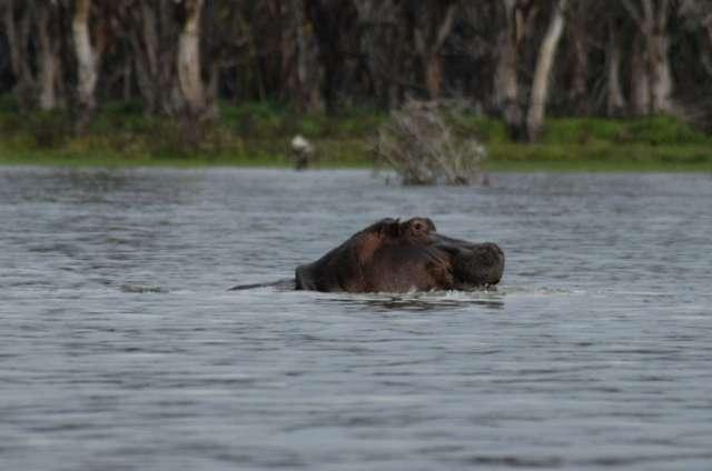 Photo from a stop of this diary