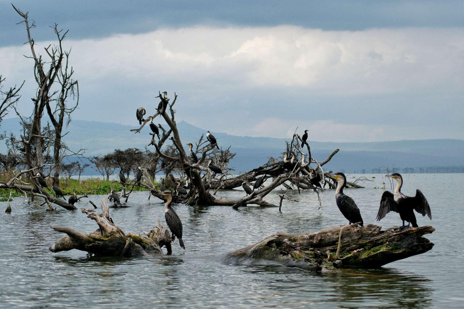 Photo from a stop of this diary