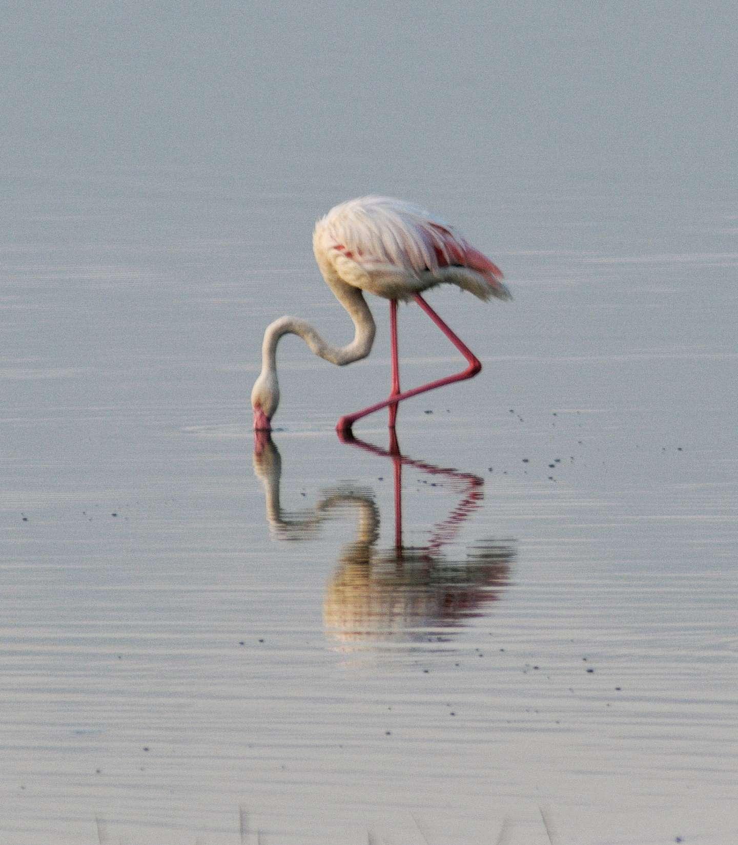 Photo from a stop of this diary