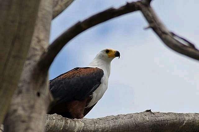 Photo from a stop of this diary