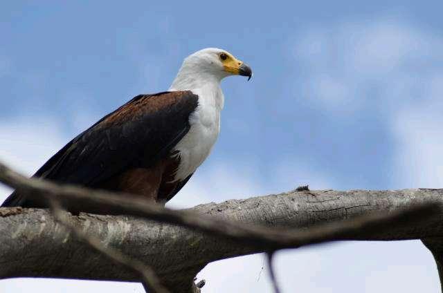 Photo from a stop of this diary