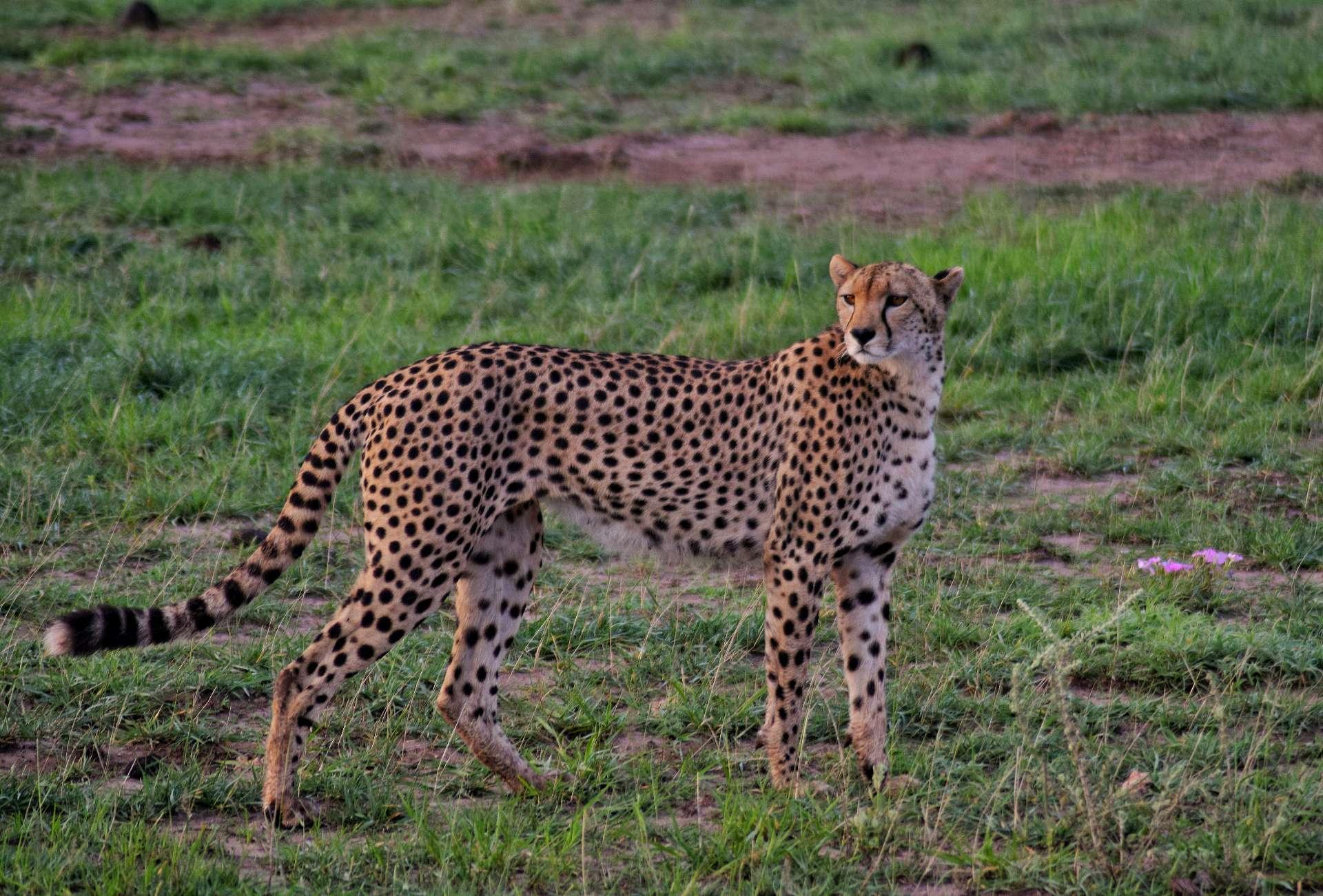 Photo from a stop of this diary