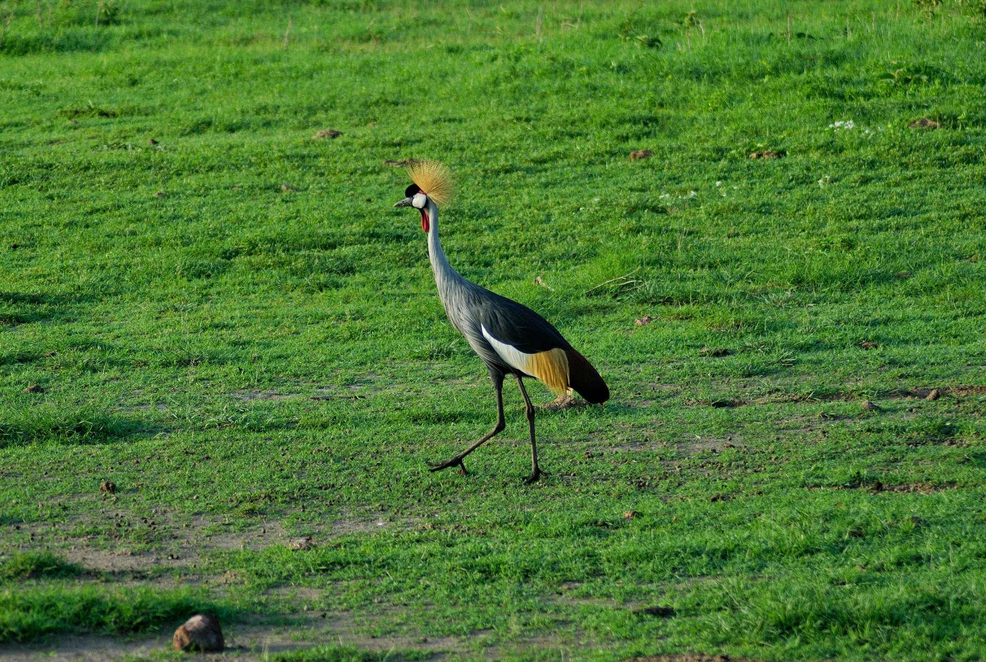 Photo from a stop of this diary