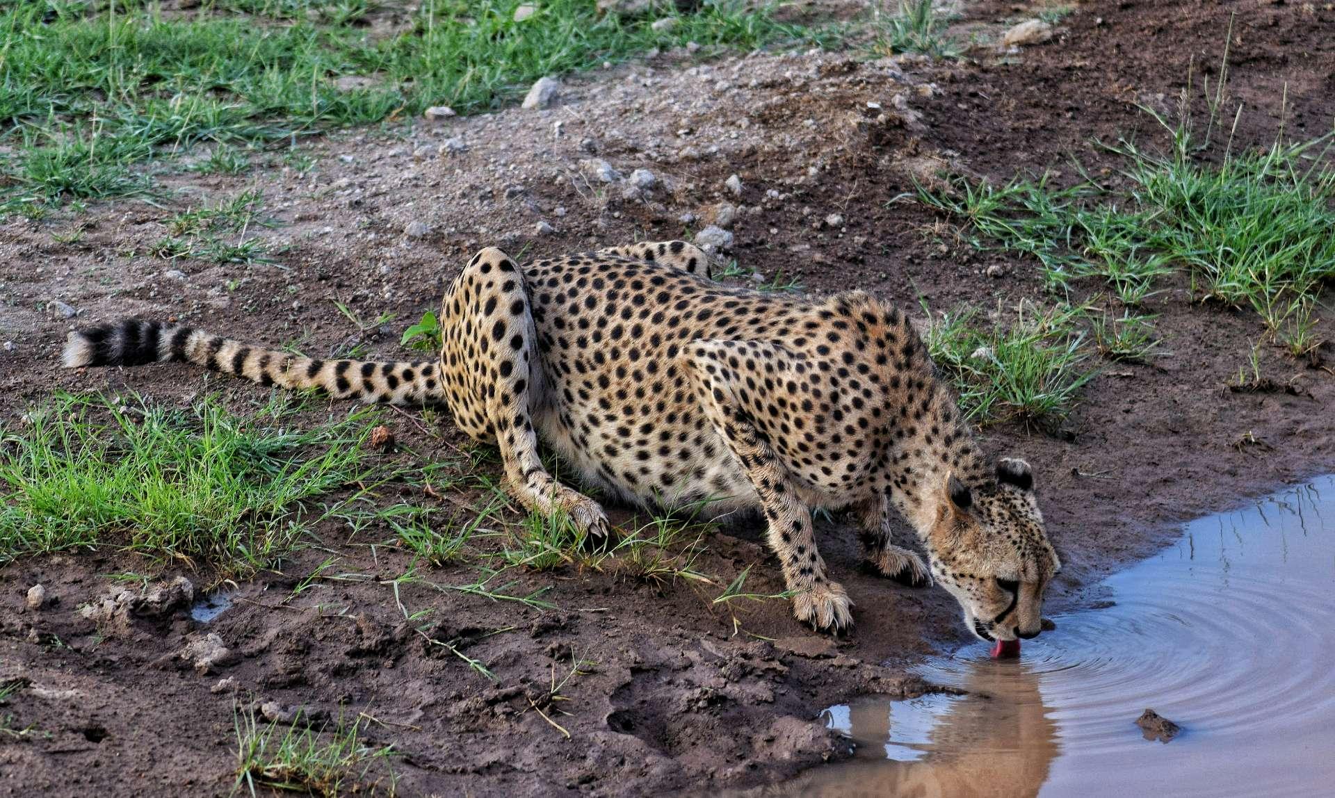 Photo from a stop of this diary