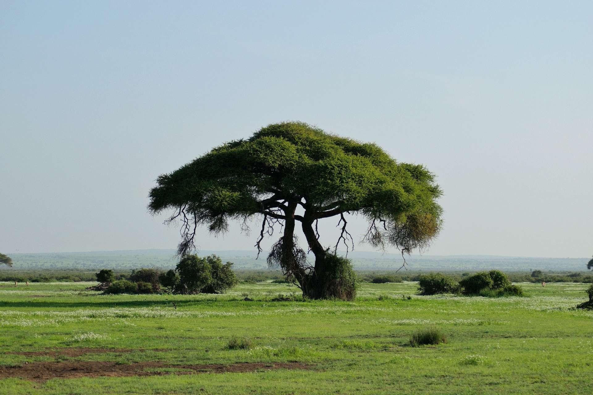 Photo from a stop of this diary