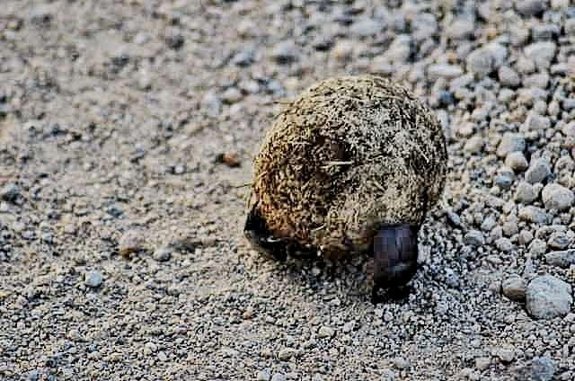 Photo from a stop of this diary