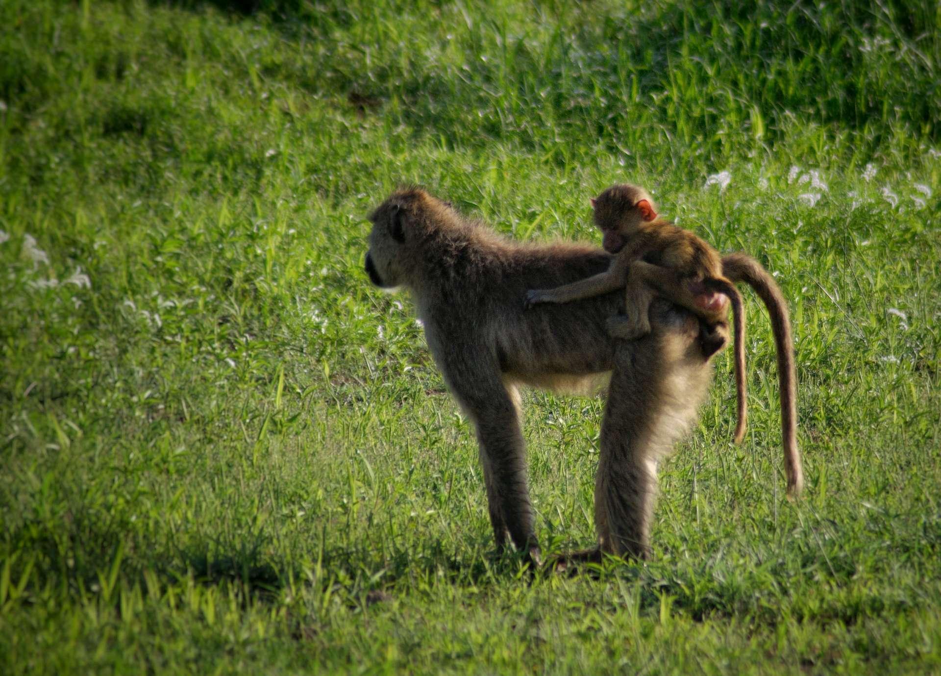 Photo from a stop of this diary