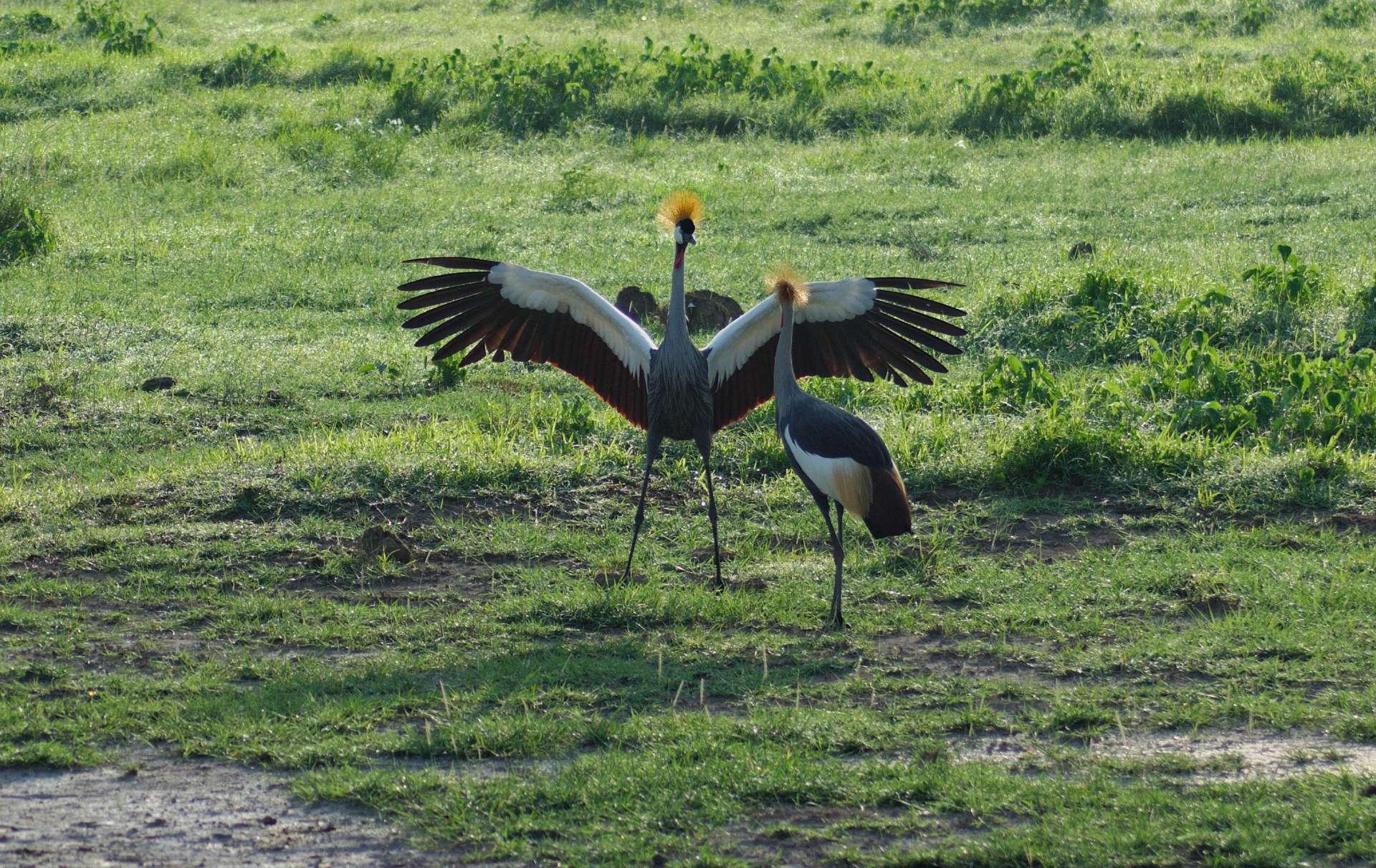 Photo from a stop of this diary