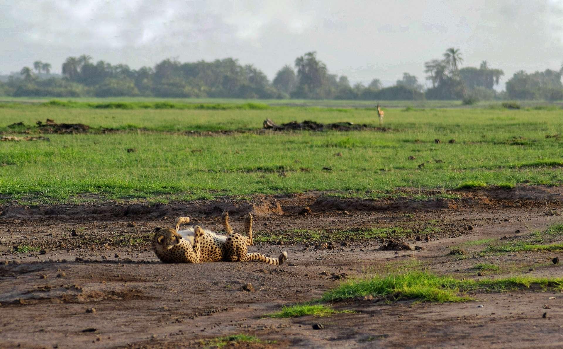 Photo from a stop of this diary